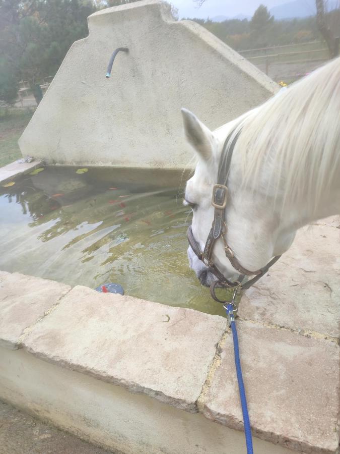 فندق La Margottiere Chez Isa Et Titi Rians  المظهر الخارجي الصورة